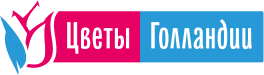 логотип Интернет-магазин продажи цветов «Цветы Голландии»